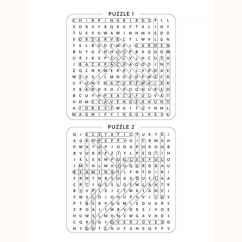 Large Print Word Search for Adults Sample Page